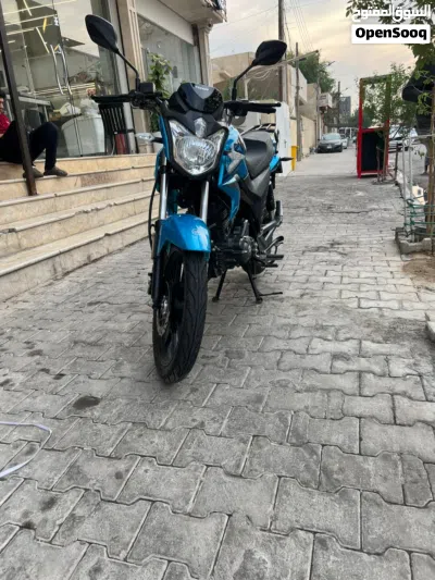 Benelli BN251 2