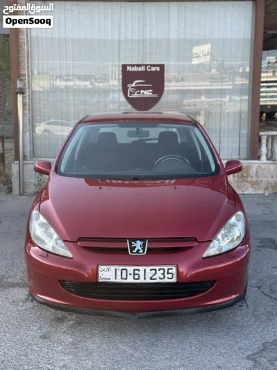 Peugeot 307 Base 2