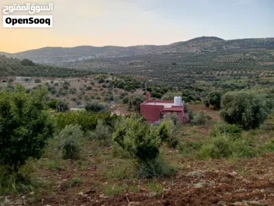 مزرعة في سوف من افضل مناطق و اطلالات سوف للتواصل والإستفسار:- مناور العتوم ابو رشاد 3