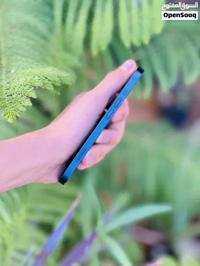 ايفون 13 العادي للبيع 3