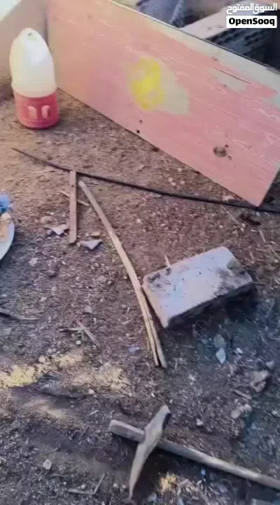 فرخات بلدي 2