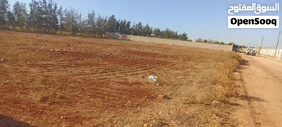 ارض طينية5000م 2