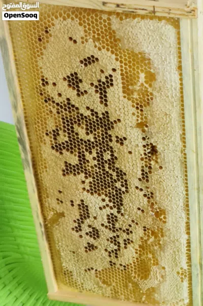 عسل طبيعي 100٪, فرز 2026 ٫عضوي 100٪ ،يوجد علب 800 غرام 2