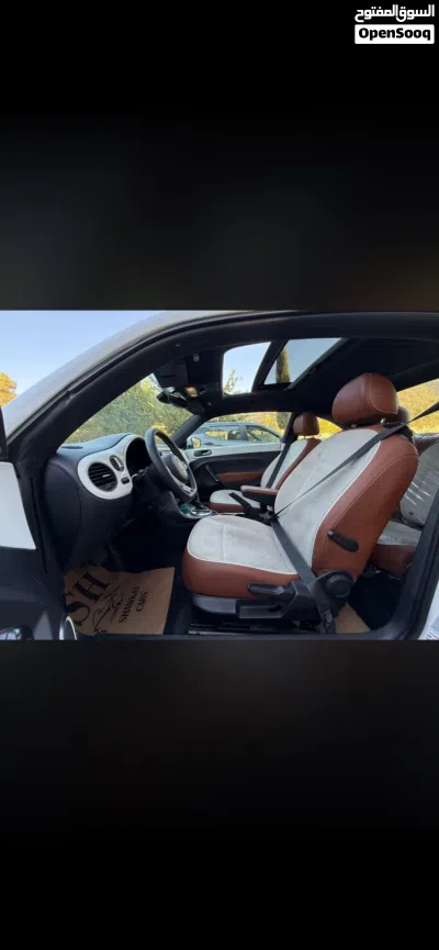 Volkswagen Beetle Standard 4
