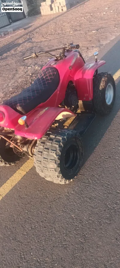 Buggy All Models 3