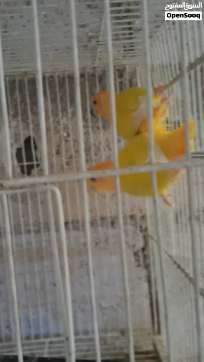undefined 2