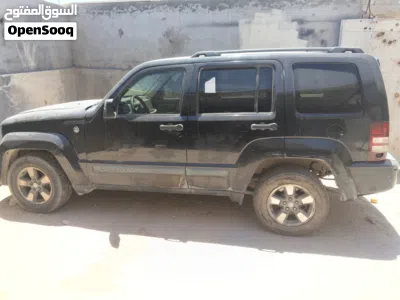 Jeep Liberty Renegade 4
