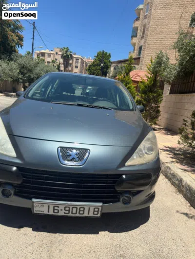 Peugeot 307 Standard 2