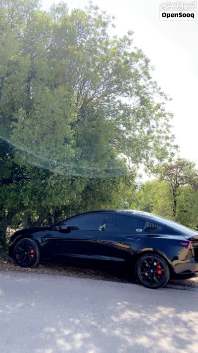 Tesla Model 3 Standard Plus 4