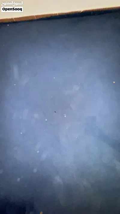 3 سجادات للبيع زي ماموضجات في الصورة 3