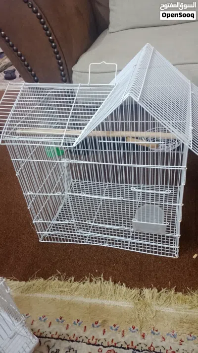3 three bird cages 3