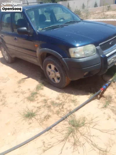 Ford Escape Active 3