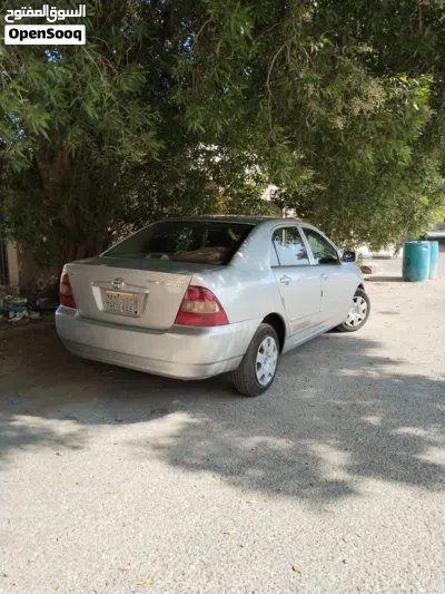 Toyota Corolla XLI 3