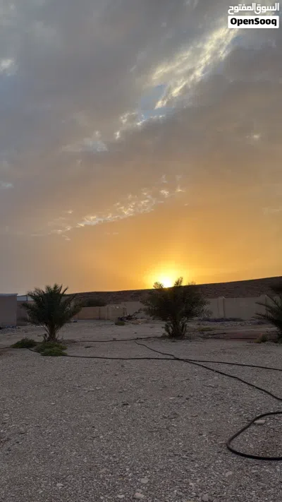 ارض سكنيه ف بهلاء 3