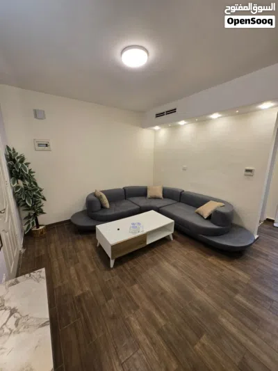 شقة غرفة نوم و صالة فاخرة في الجبيهة - luxurious one-bedroom apartment in Al-Jubaiha 2