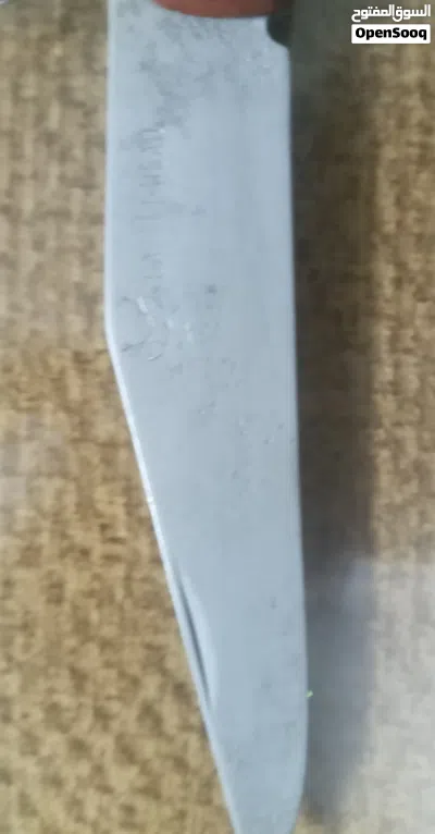 موس قرن غزال للبيع 3