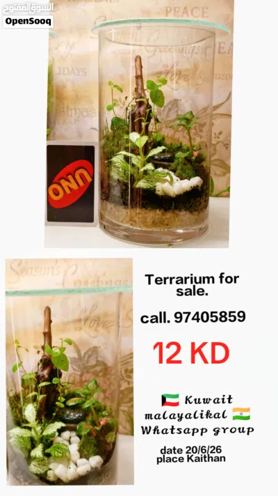 Terrarium for sale 3