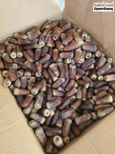 تمر نغال سريري فاخر للبيع Premium Naghal Dates for Sale 3