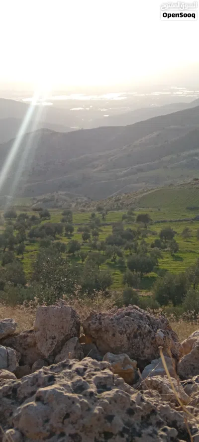 قطعة أرض مزرعه للبيع 2