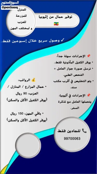 للبيع مجموعه ابقار 3