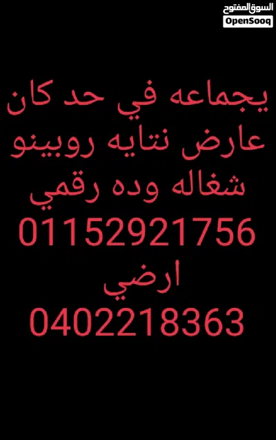 عصافير روز وفيشر و ردرام 3