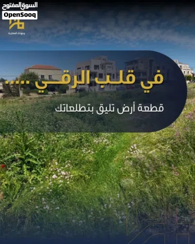 undefined 3