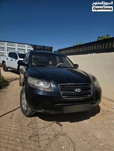 Hyundai Santa Fe Standard 2