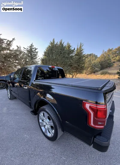 Ford F-150 Limited 4