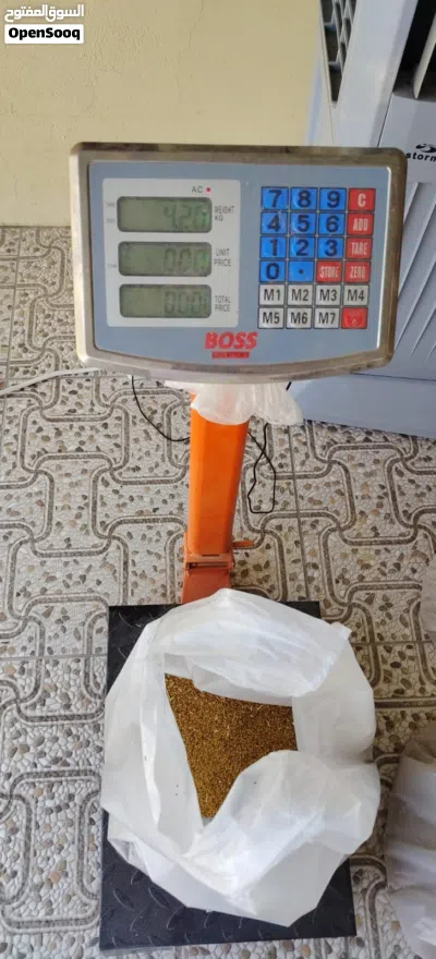 متوفر بذر قت عماني 2