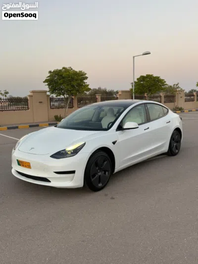 Tesla Model 3 Standard 3