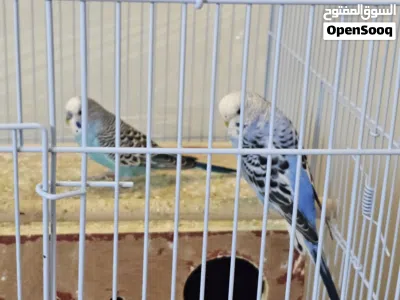 undefined 3