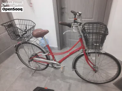 بايسكل اصلي ألماني بروجستن 2