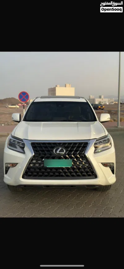 Lexus GX GX 460 Luxury 3
