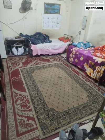 مطلوب مشاركه سكن غرفه موثث بالكامل يكون حسن خلق سرير دور تاني الايجار 30 2