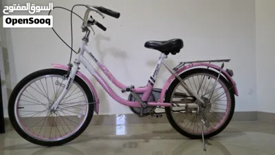 20-inch Girls Bicycle - Good Condition 2