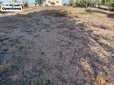 قطعه أرض للإيجار 700 متر 3