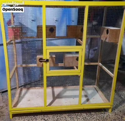 undefined 3