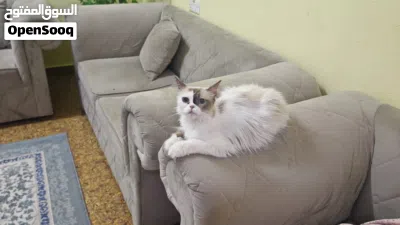 undefined 2