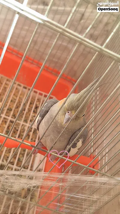 undefined 4