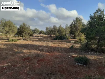 إستراحة بمساحة هكنار و 300م 3