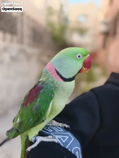 undefined 2