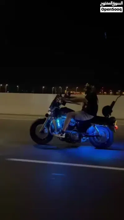 هارلي ديفيدسون 1200 Custom 3