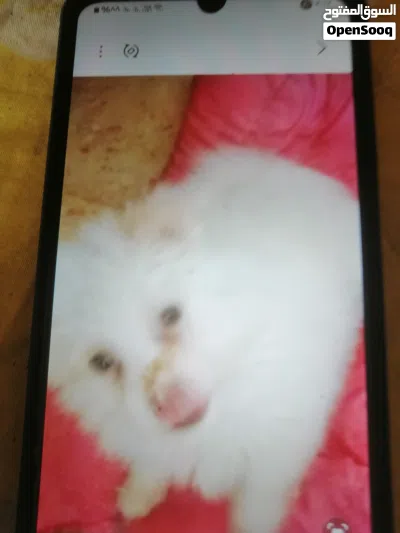 undefined 2