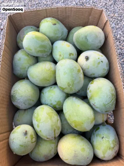امبا اخضر طازج اقرا الوصف 3