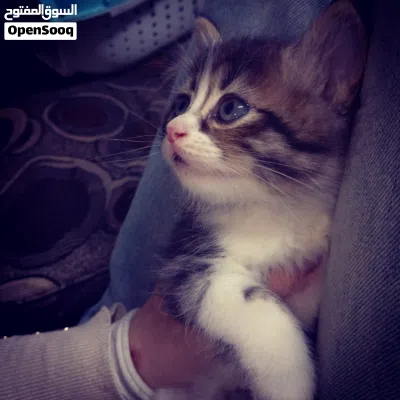 undefined 2