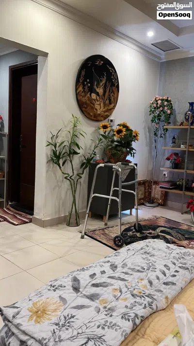 بامبو طولهم اكثر من متر ونص 3