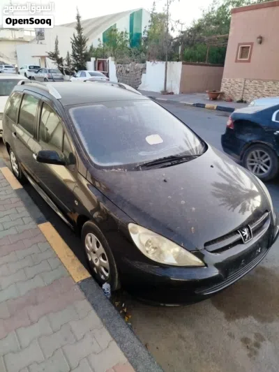 Peugeot 307 Base 3