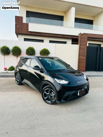 بي واي دي سيجول 3