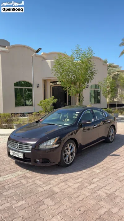 Nissan Maxima SV 3