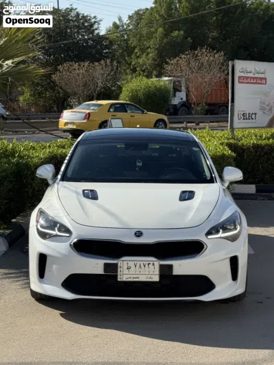 کیا Stinger EX 3